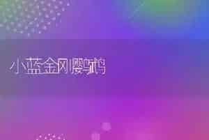小蓝金刚鹦鹉