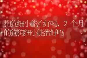 狗狗细小能治好吗