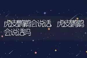 虎皮鹦鹉会说话