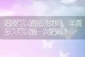 狗能吃水果吗