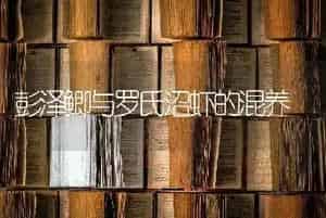 彭泽鲫与罗氏沼虾的混养