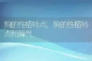 狗的性格特点
