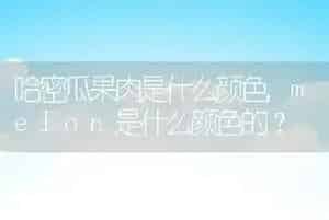 狗狗一年生几胎