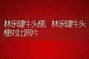 林永健牛头梗
