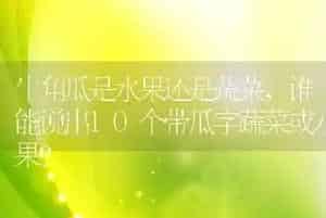 牛角瓜是水果还是蔬菜