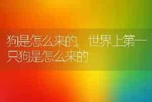 狗是怎么来的