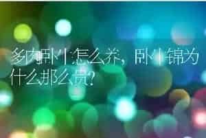 多肉卧牛怎么养