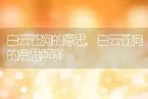 白云苍狗的意思