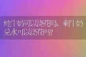 纯牛奶可以浇花吗