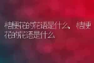 狗狗能吃香蕉吗