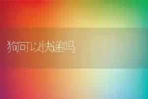 狗可以快递吗