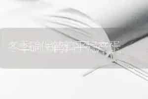 冬季确保鹌鹑平稳产蛋