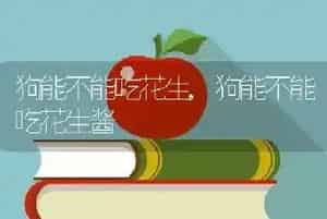 狗能不能吃花生