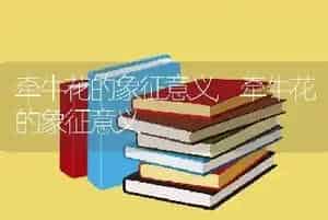 牵牛花的象征意义
