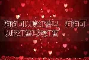 狗狗可以吃红薯吗