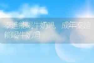 泰迪能喝牛奶吗