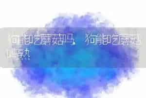 狗能吃蘑菇吗