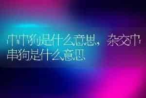 串串狗是什么意思