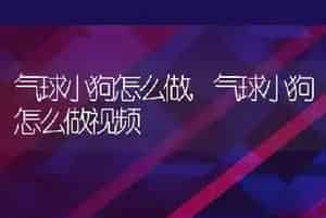 气球小狗怎么做