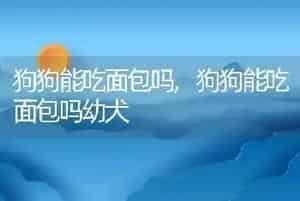 狗狗能吃面包吗