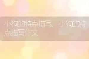 小狗的特点描写