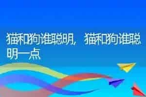 猫和狗谁聪明