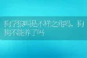 狗学狼叫是不祥之兆吗
