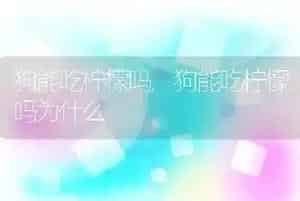 狗能吃柠檬吗