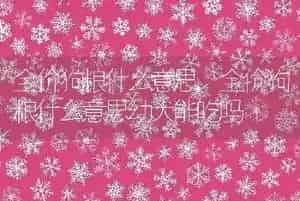 全价狗粮什么意思