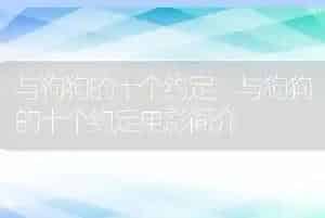 与狗狗的十个约定