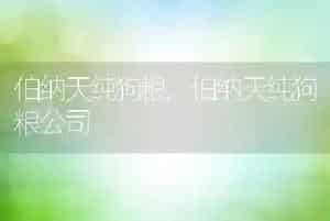 伯纳天纯狗粮