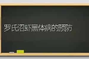 罗氏沼虾黑体病的预防