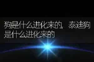 狗是什么进化来的