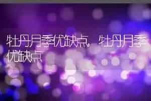 为什么土狗不用打疫苗