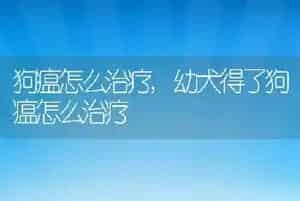 狗瘟怎么治疗