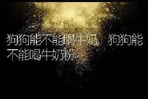 狗狗能不能喝牛奶