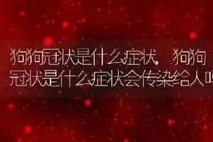 狗狗冠状是什么症状