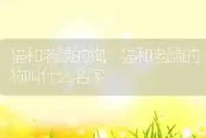 猫和老鼠的狗