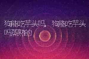 狗能吃芋头吗