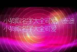 小狗取名字大全可爱