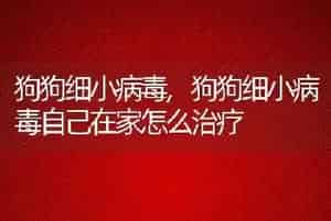 狗狗细小病毒