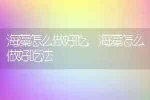 狗狗驱虫多久一次