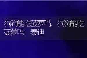 狗狗能吃菠萝吗