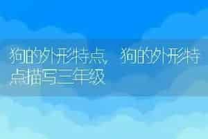 狗的外形特点
