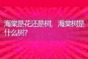 狗能不能吃鸡蛋