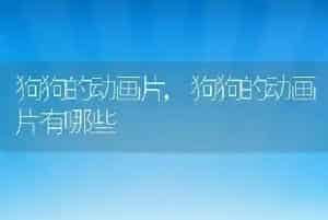 狗狗的动画片