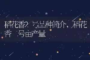 稻花香2号品种简介