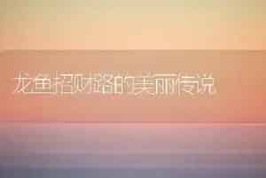 龙鱼招财路的美丽传说