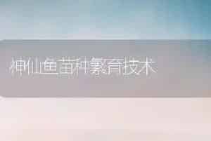 神仙鱼苗种繁育技术