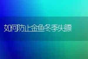如何防止金鱼冬季失膘